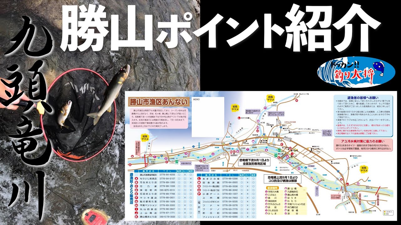 2021九頭竜川・勝山漁協組合管区・鮎釣りポイント紹介！「初めての勝山での鮎釣り」
