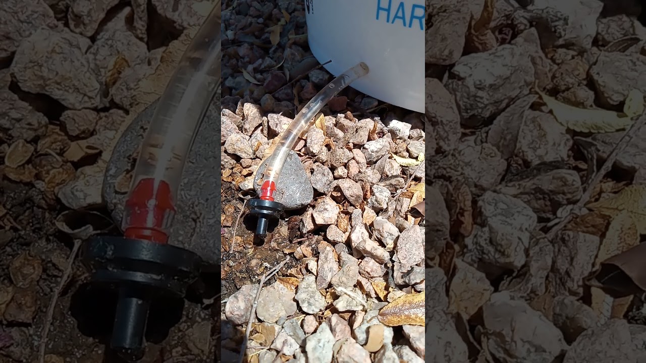 Homemade Drip Irrigation with Five Gallon Bucket.