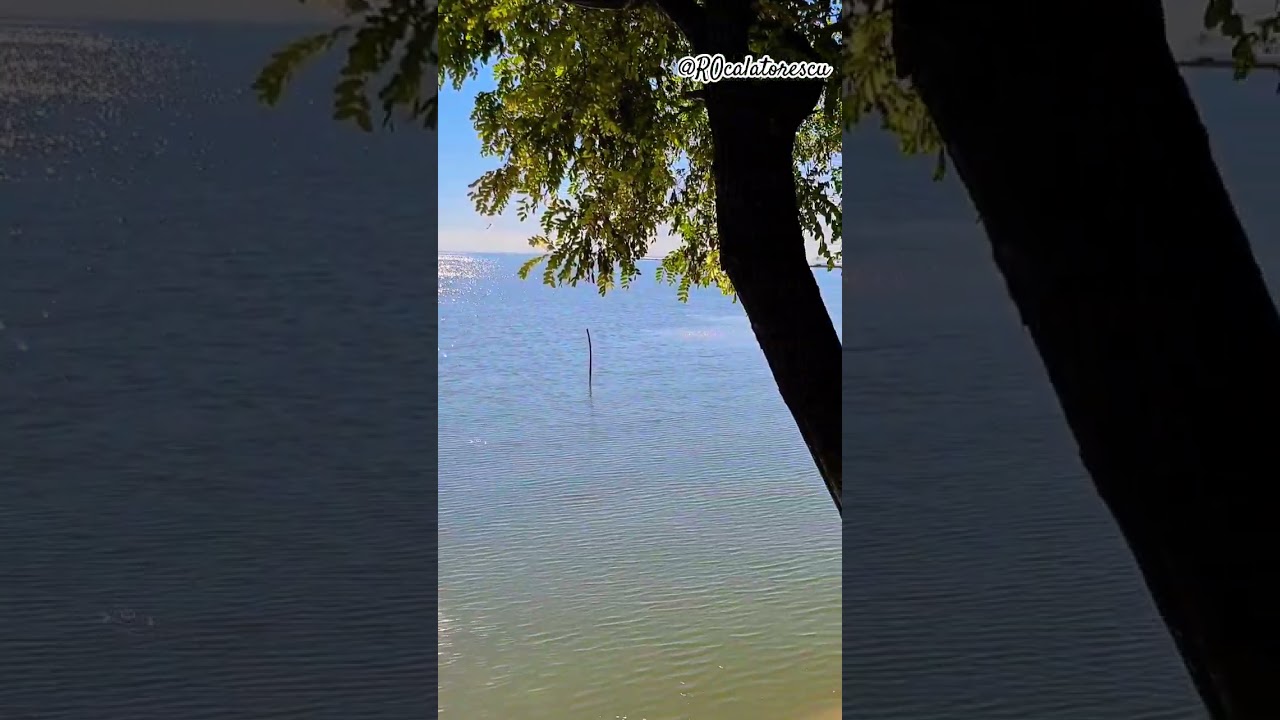 Vara in satul Sarichioi, lacul Razim, Tulcea, Romania 