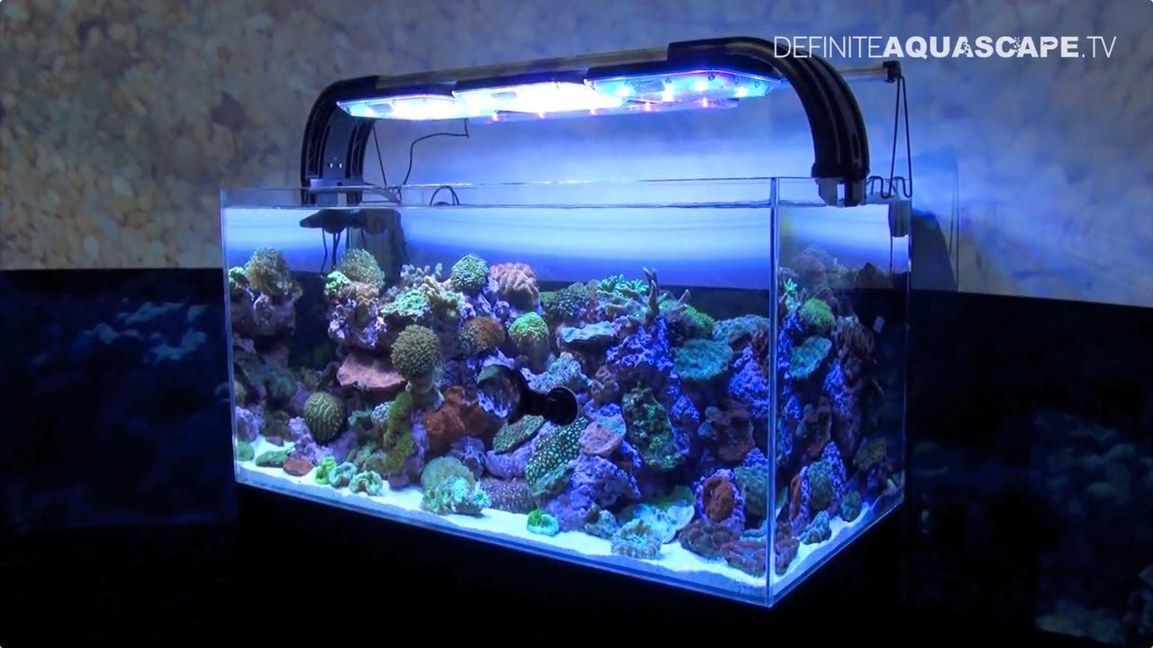 Aquarium ideas from InterZoo 2014 (pt. 5) - Tropical Marine Centre
