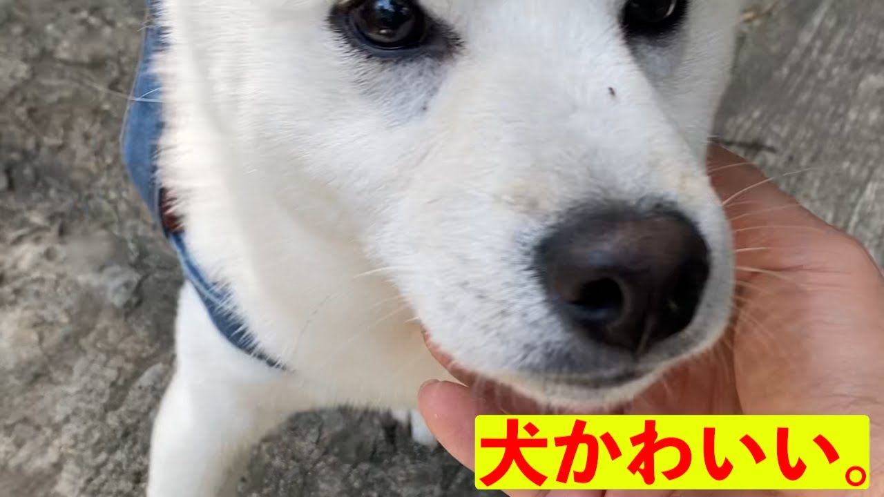 ガク旅 台湾編 最終日 26.2.9