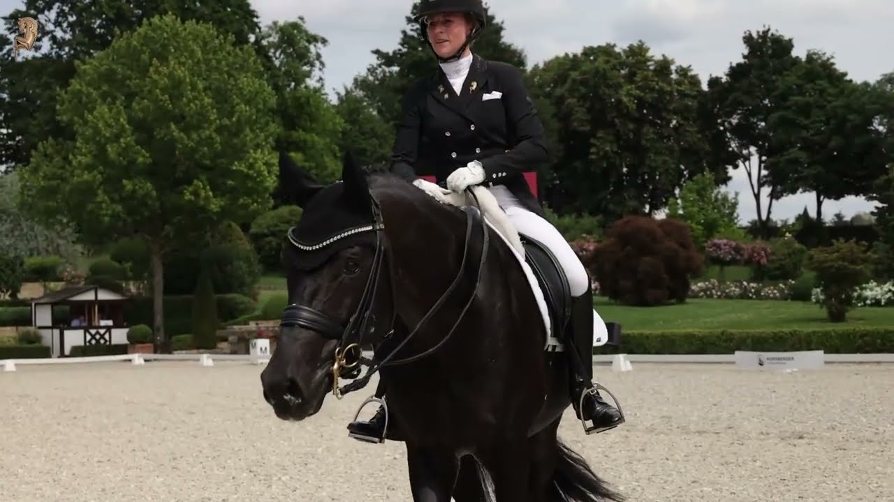 D'Egalité, geb. 2013, v. Don Juan de Hus - Stedinger - Rohdiamant