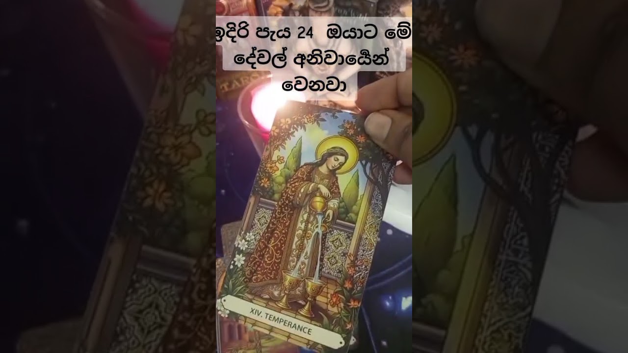 ඉදිරි පැය 24 ඔයාට මේ දේවල් අනිවාර්‍යෙන්  වෙනවා.#Tarot#viral#fpy#ppppppppppppppppppppppp pppppppppp#