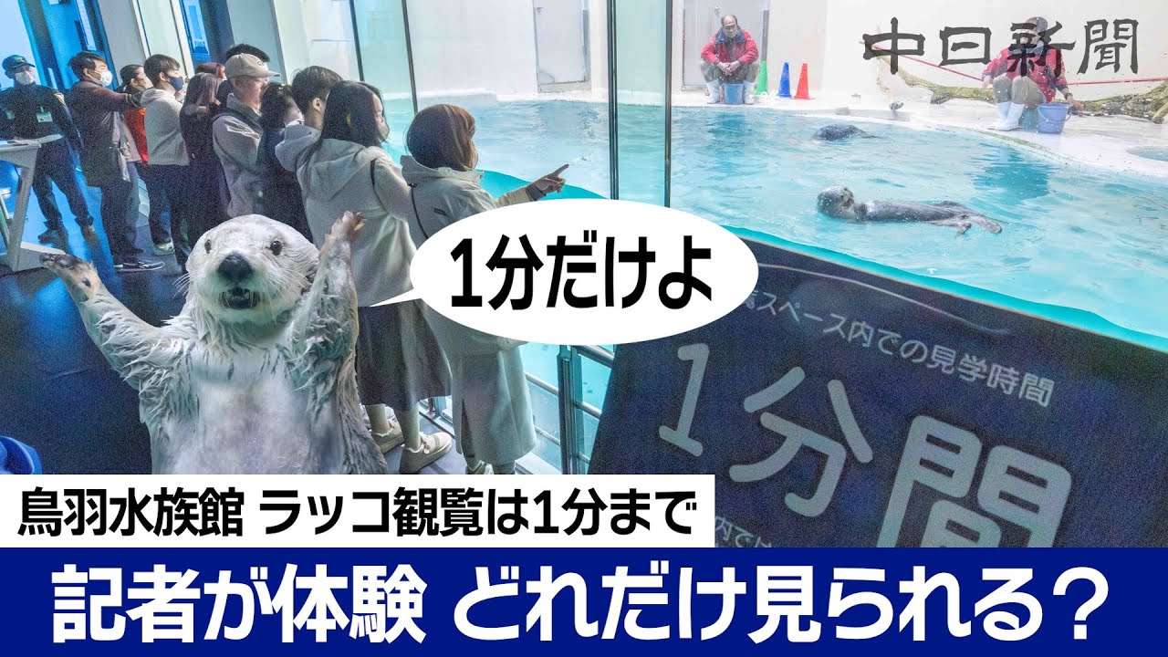 鳥羽水族館のラッコ観覧　1分でどれだけ見られる？　記者が体験してみた
