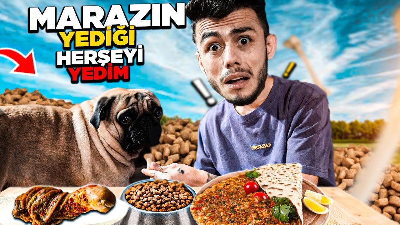 KÖPEĞİM MARAZI EVDEN KOVDUM !! NE YERSE YEDİM YEMEK YARIŞMASI