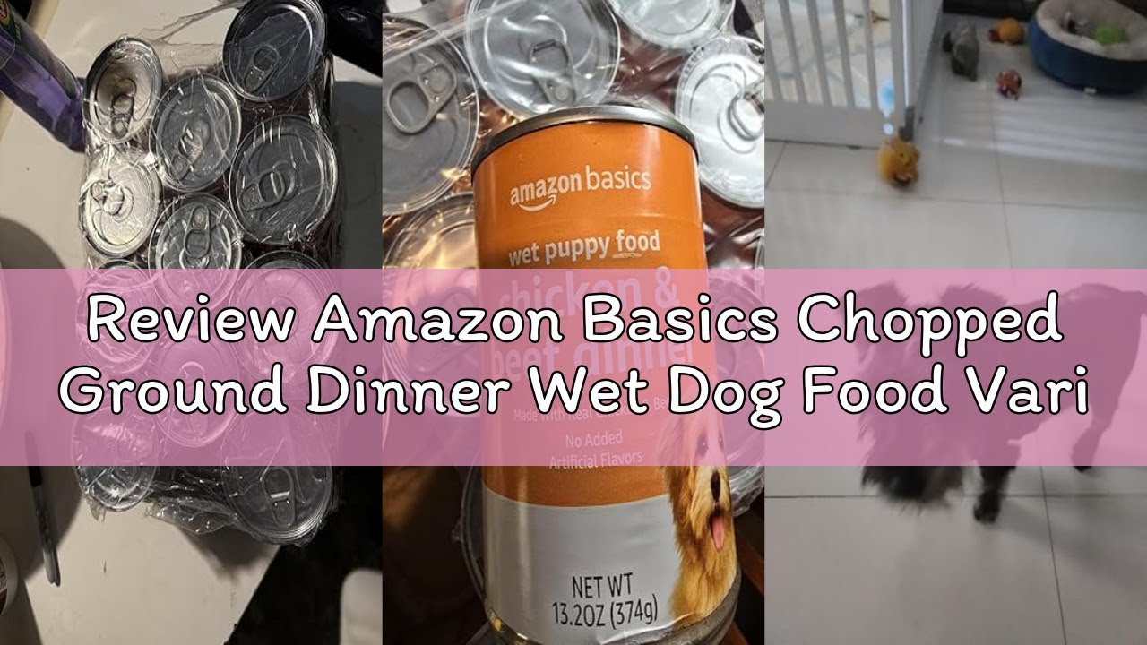Review Amazon Basics Chopped Ground Dinner Wet Dog Food Variety Pack, Filet Mignon Flavor and with B
