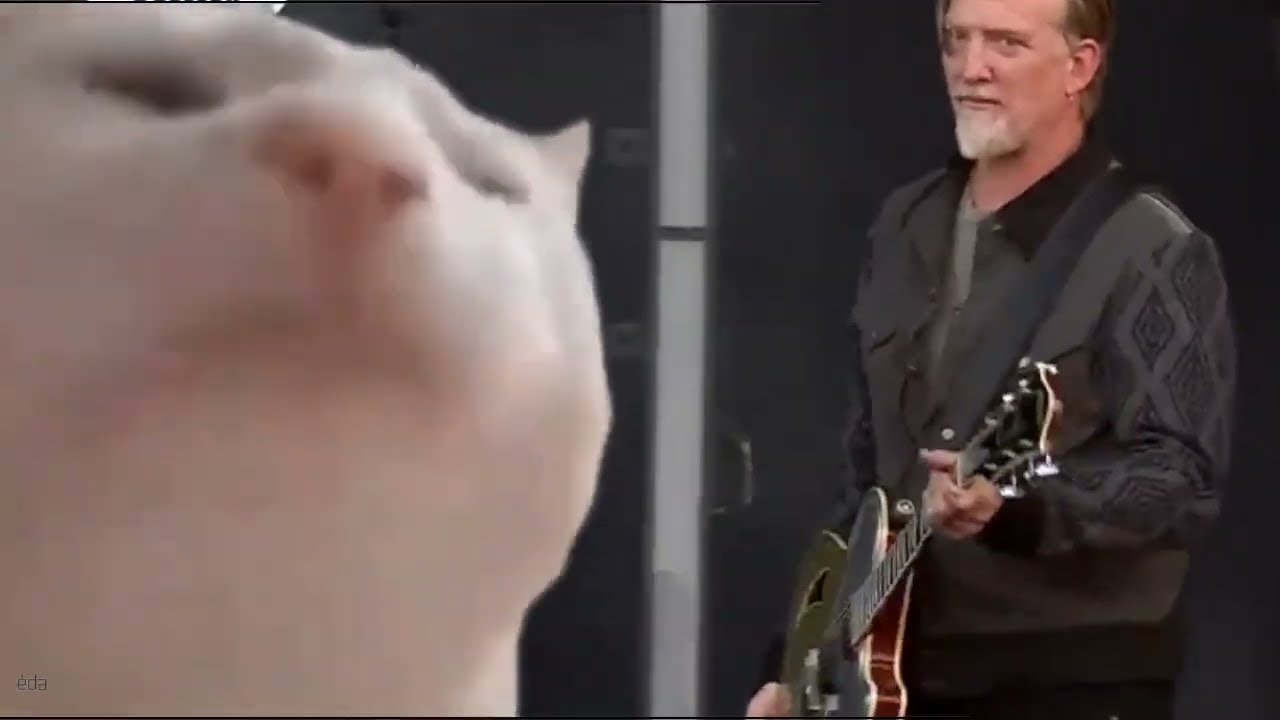 in times new roman QOTSA on shuffle be like: