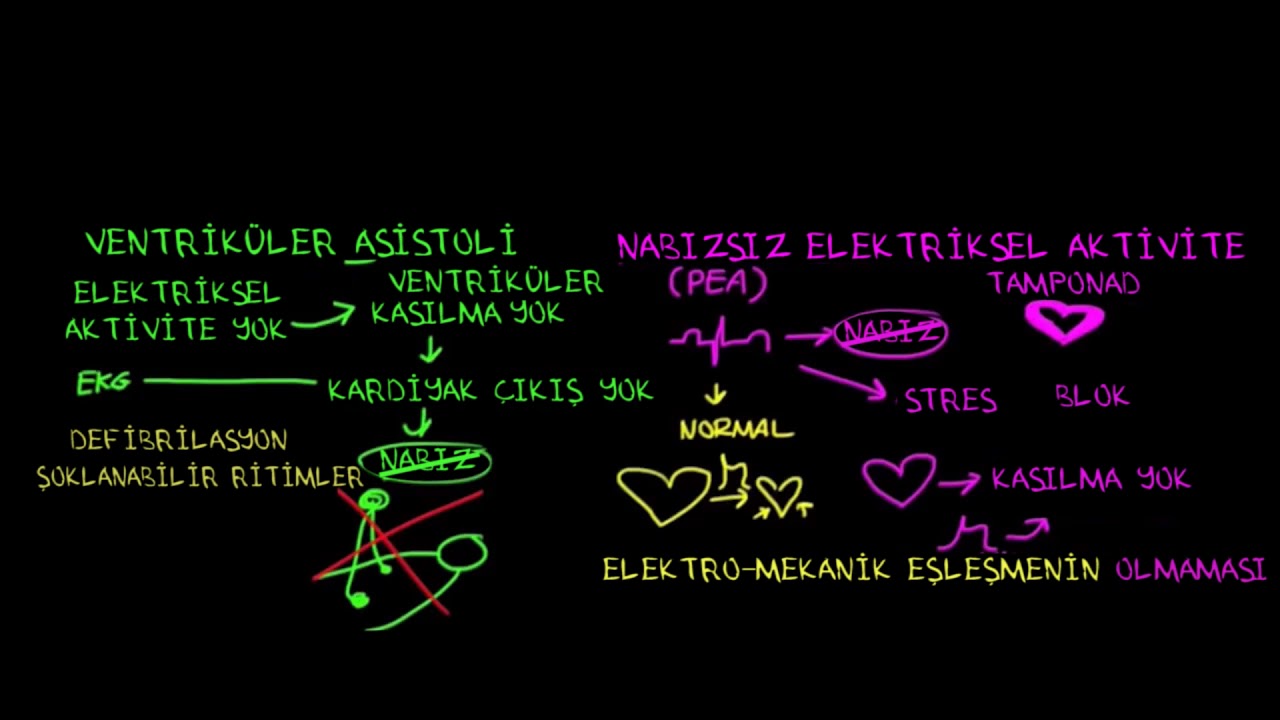 Nabızsız Elektriksel Aktivite ve Asistoli (Fen Bilimleri) (Sağlık ve Tıp)