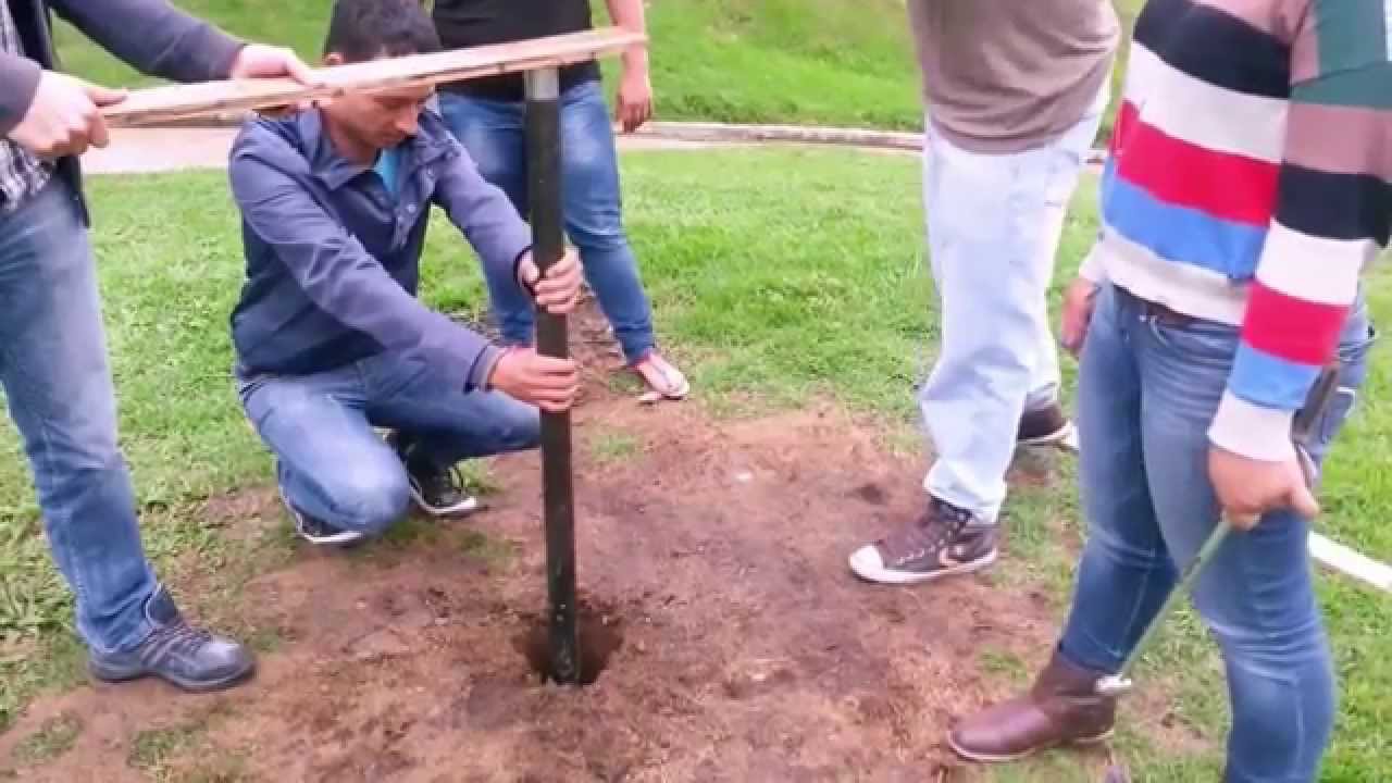 Ensayo de veleta