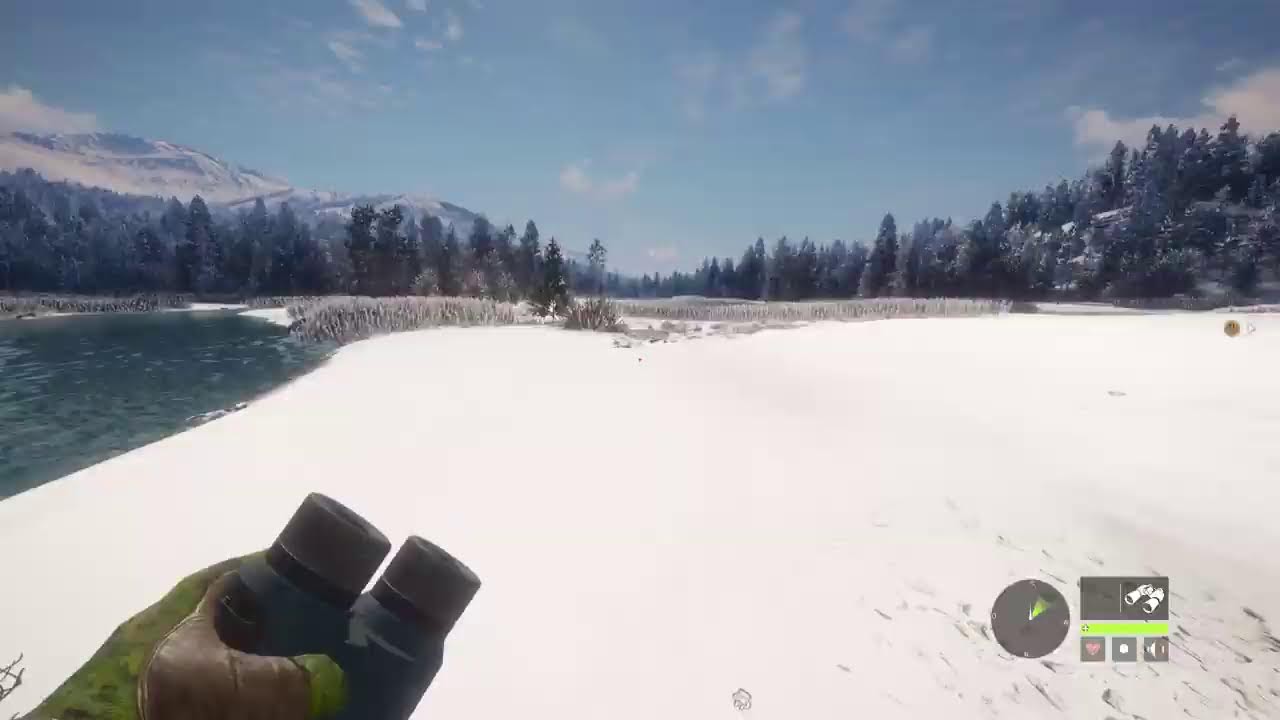 The Hunter - Call of the Wild  Kanada PS5