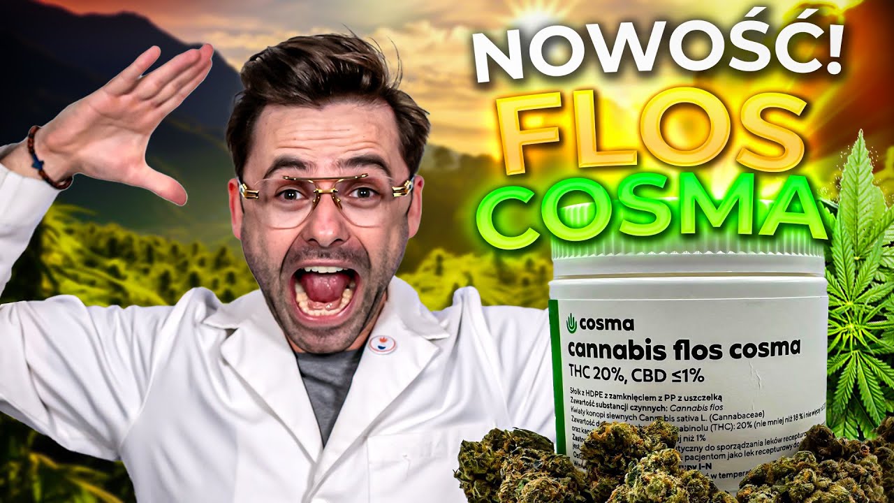 Cosma 20% pod lupą: Susz vs. Olej &ndash; Co Lepsze?