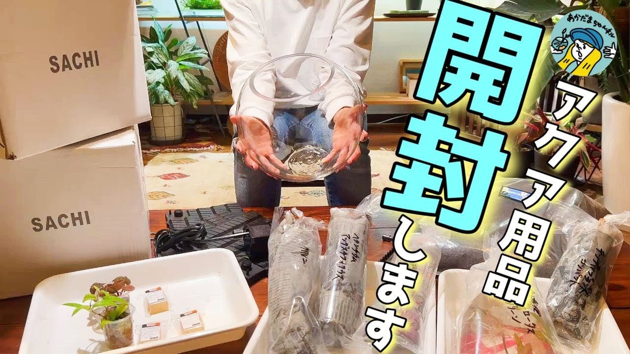 【アクアリウム】アクアショップ2店舗とネット注文したアクアグッズを開封（初めて注文した球体水槽はどんな感じ？）