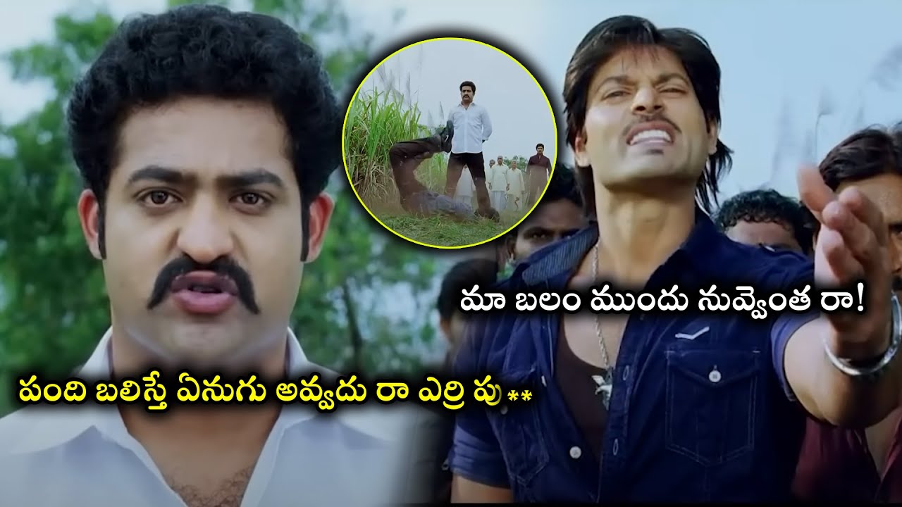 Dhammu Movie Rao Sreedhar And Jr NTR Fighting Scenes || Latest Movies || Telugu Super Hit Movies