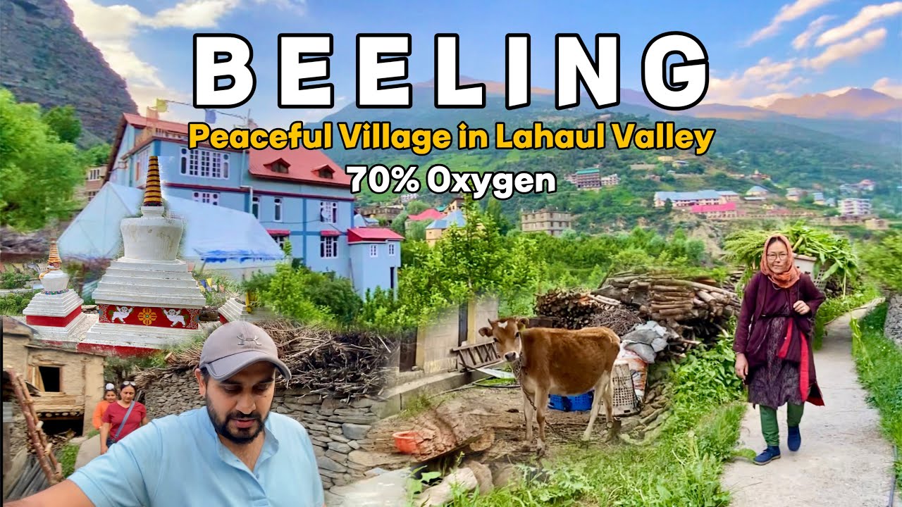 Life in Lahaul Valley | 70% oxygen Beeling village at 10100 ft | Food | Culture | Homestay | Farming