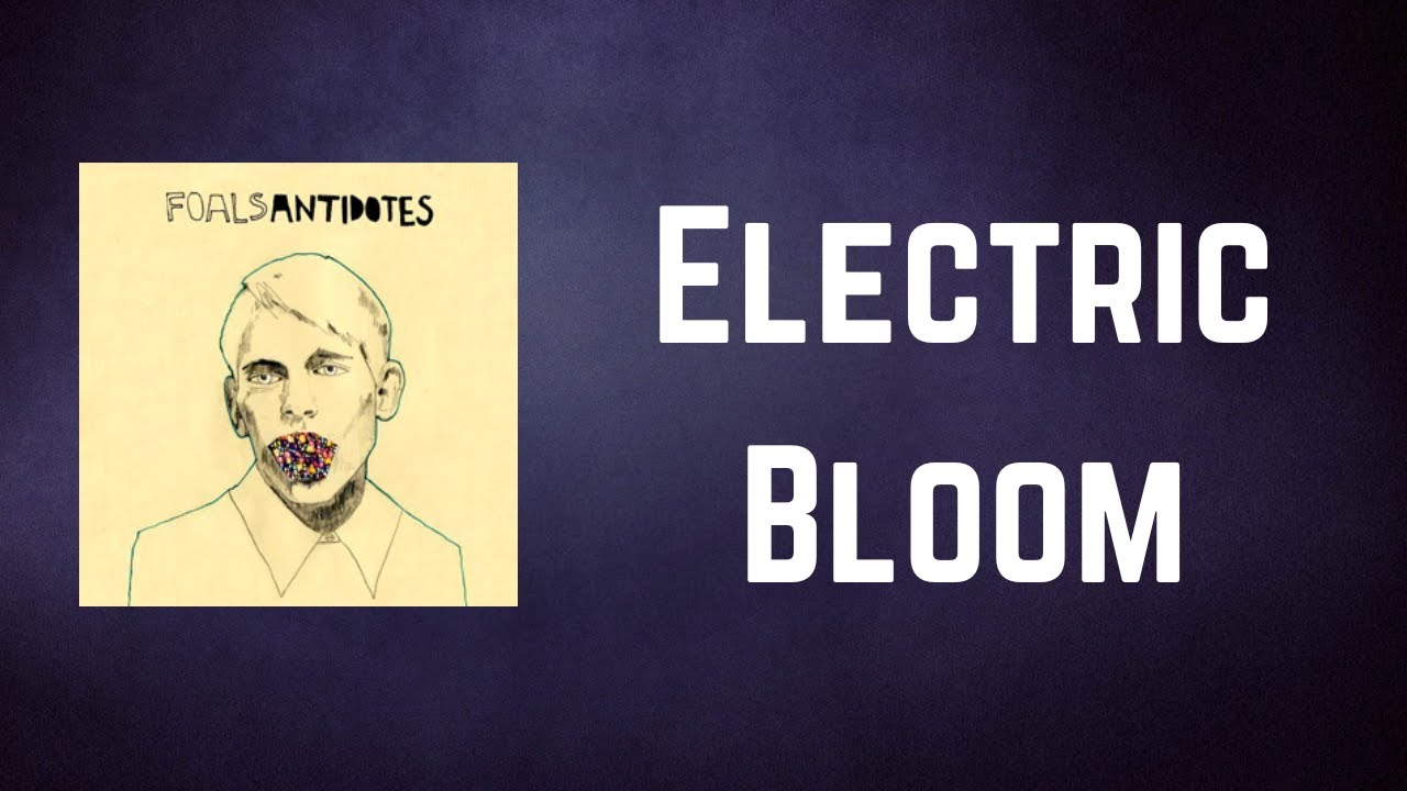 Foals - Electric Bloom (Lyrics)