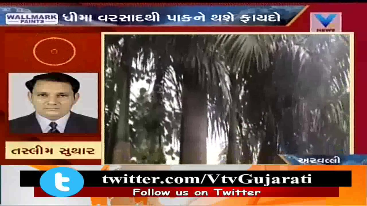 Aravalli Monsoon: Drizzling Rainfall in parts of Modasa & Shamlaji, Locals in Joy | Vtv News