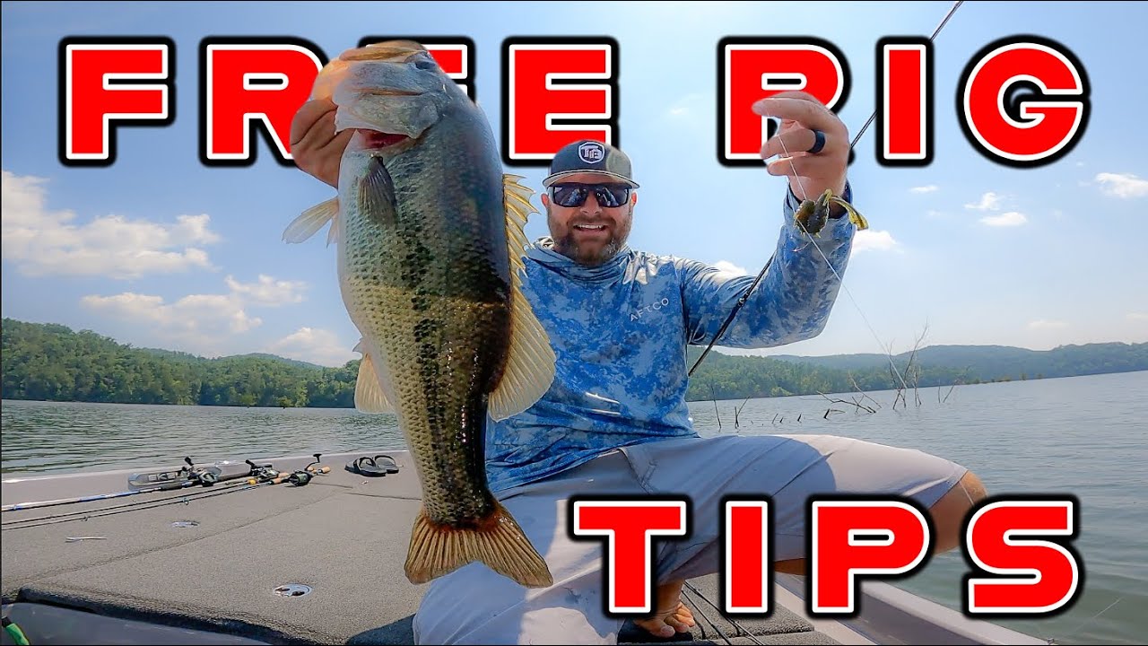 Best Baits To 