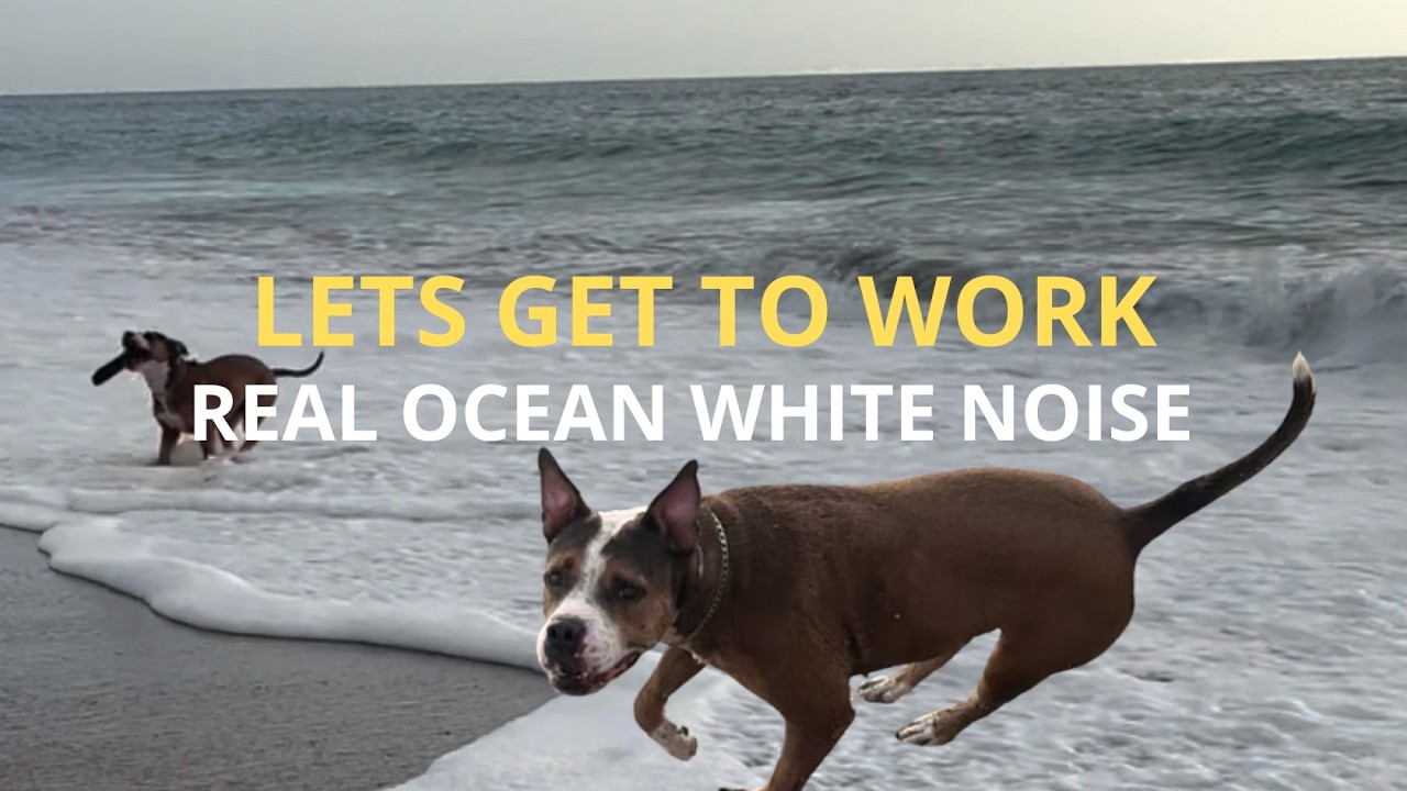 Focus with Chita: 30 Minute Ocean White Noise for Deep Work