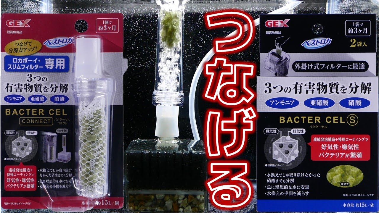【ろ材】投げ込み式フィルターでも硝酸を分解できる時代到来か。色でお知らせします。GEXバクターセルコネクト、バクターセルS 2袋入【ふぶきテトラ】
