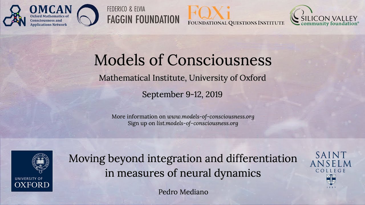 Pedro Mediano - Moving beyond integration and differentiation in measures of neural dynamics