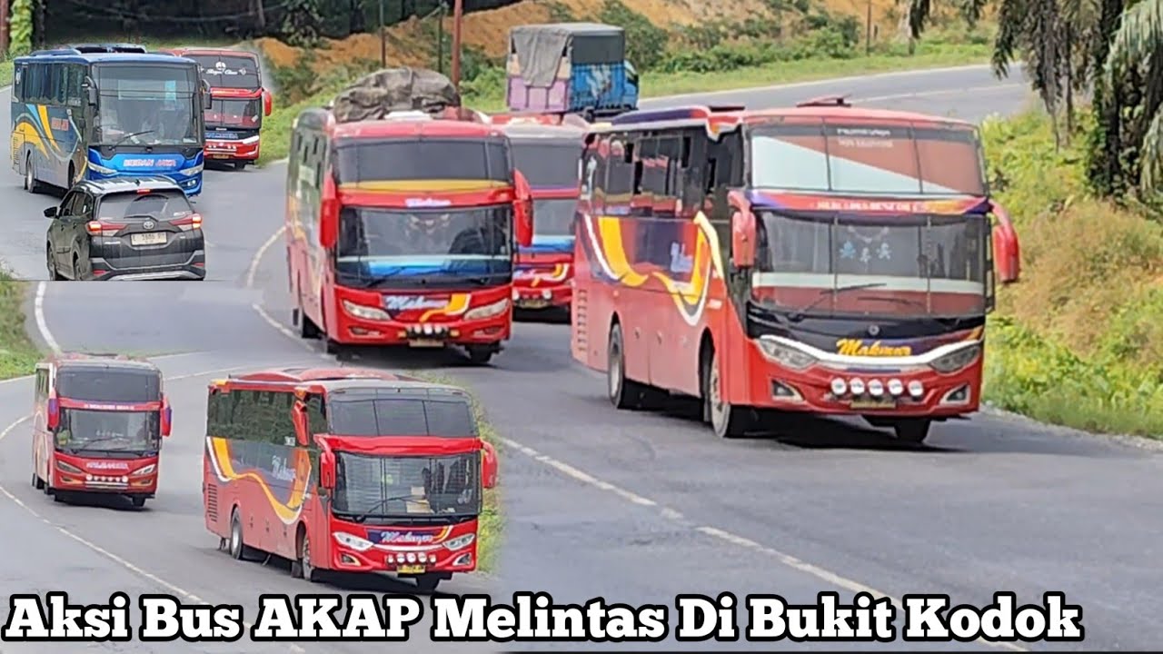 Aksi Bus AKAP Saat Melintas Di Bukit Kodok