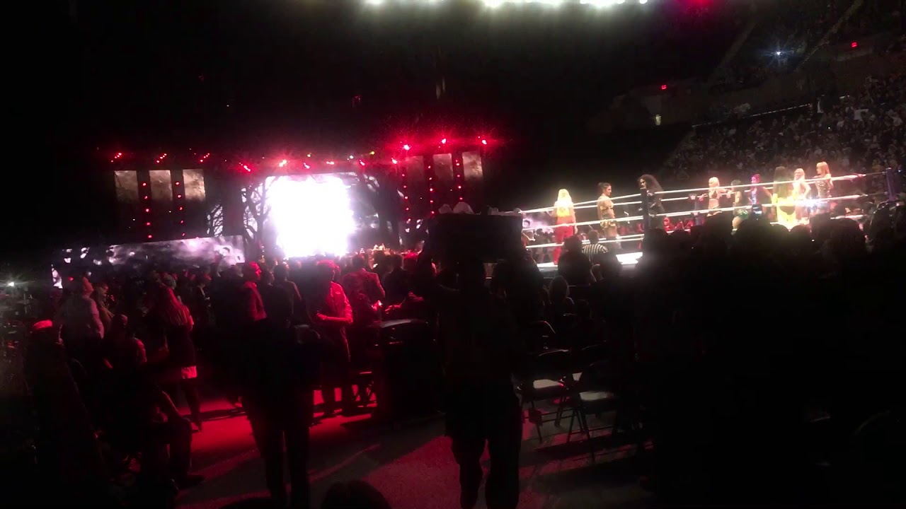 20 Women Battle Royal Entrances (LIVE)