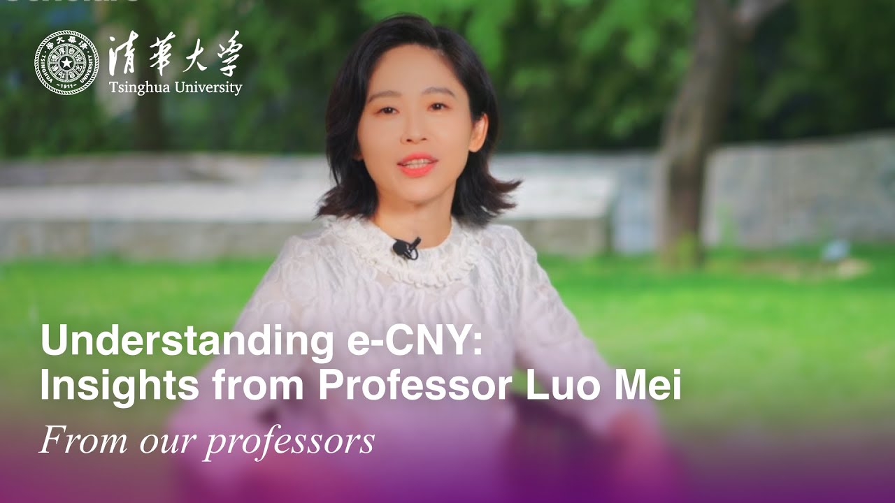 Understanding e-CNY: Insights from Professor Luo Mei