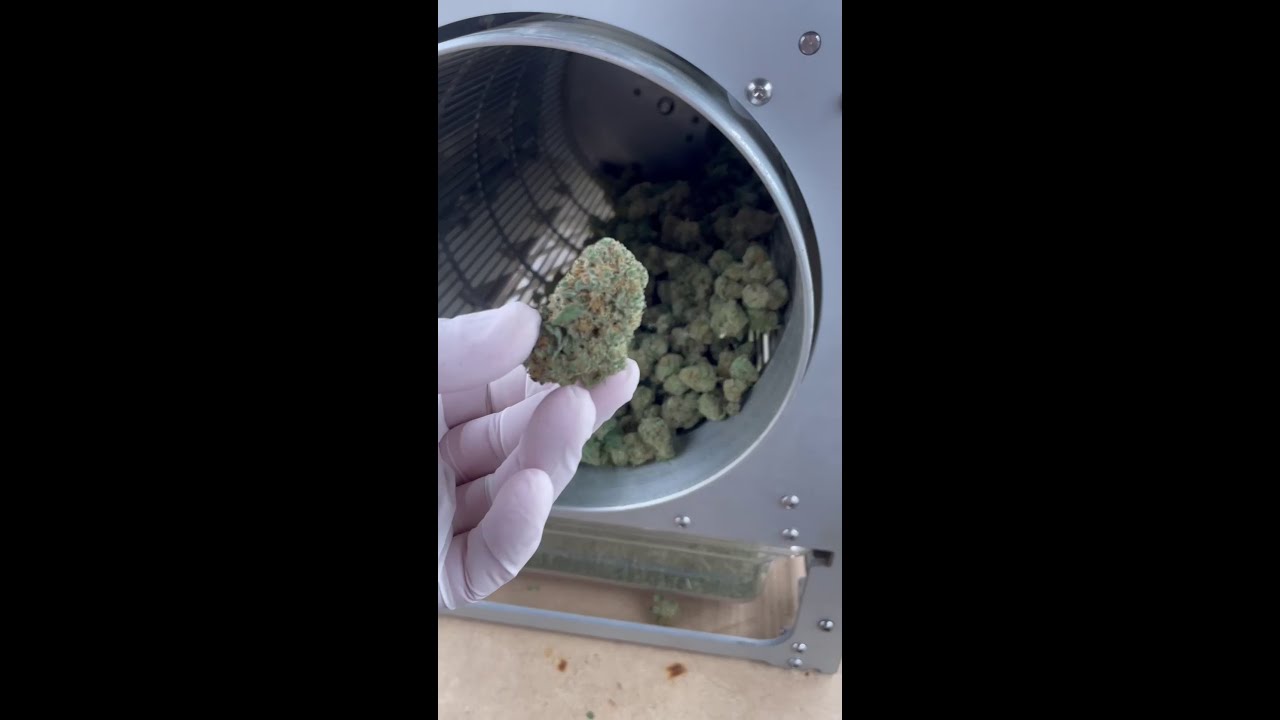 &iexcl;La mejor peladora de cogollos que existe!