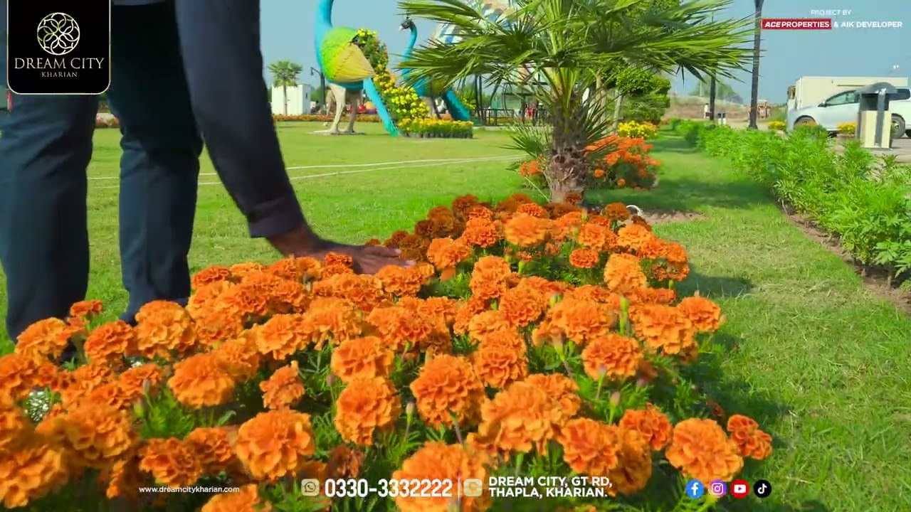 Dream City Kharian | Where Beauty Blooms First!