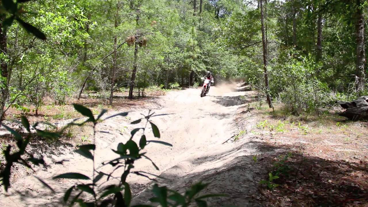 A Day In The Woods With Kyle Fischer