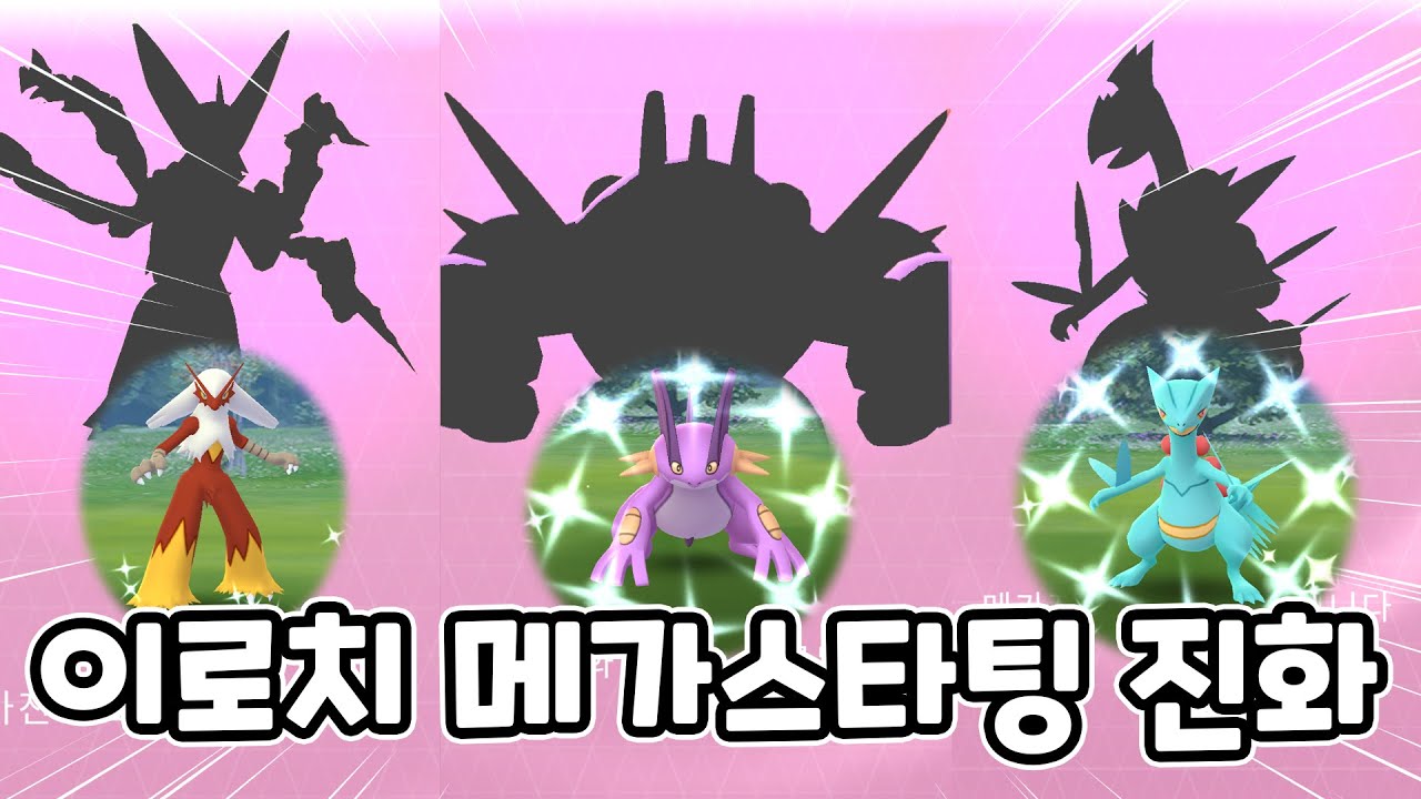 메가레이드에 숨겨진 보너스..?! 나무킹 번치코 대짱이 이로치와 100% 진화해봐야죠?! [포켓몬고]