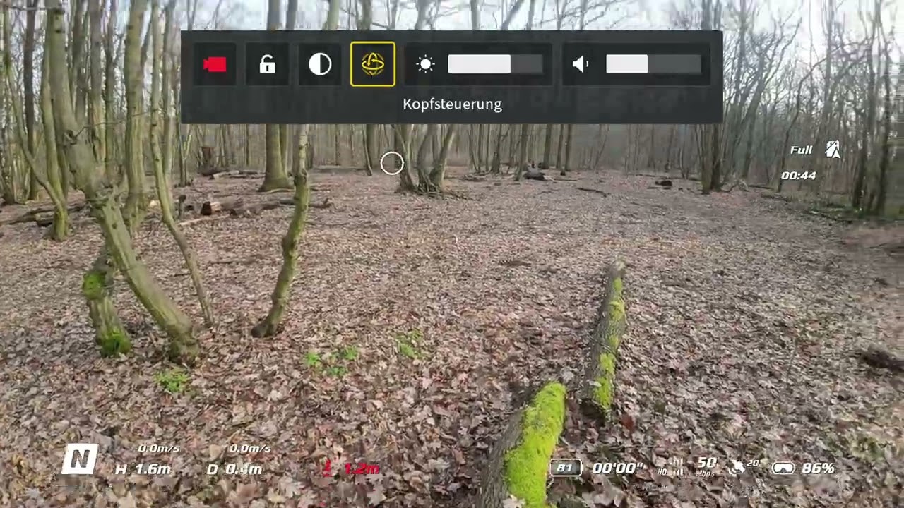 risky drone flight in the woods