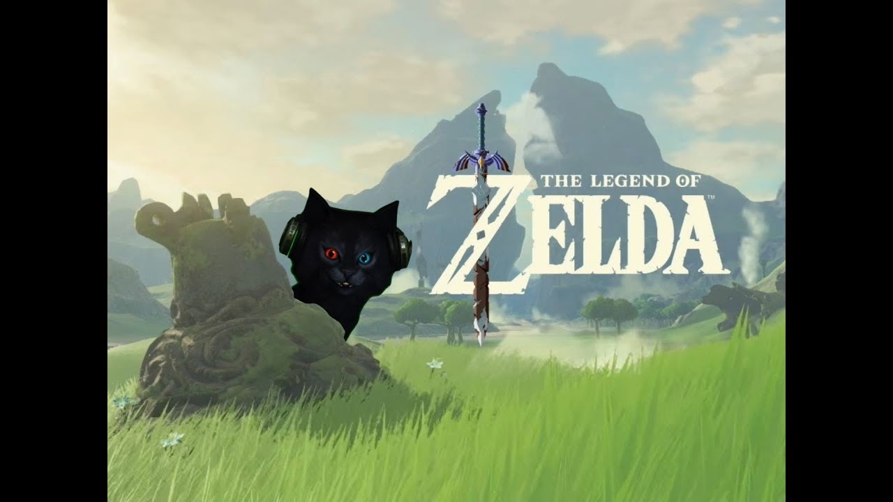 Switch Cat Revisits BOTW