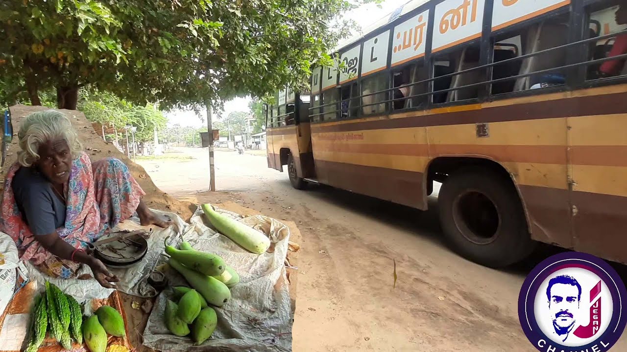 பழமொழி சொல்லி வியாபாரம் செய்யும் பாட்டியம்மா /Village Food Review/Jegan channel