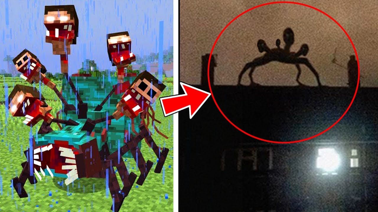 Mobs de Minecraft CAPTADOS EN LA VIDA REAL 😱