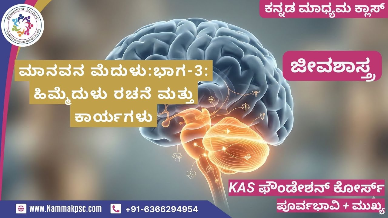 [ಜೀವಶಾಸ್ತ್ರ]-ಮಾನವನ ಮೆದುಳು:ಭಾಗ-3: ಹಿಮ್ಮೆದುಳು ರಚನೆ ಮತ್ತು ಕಾರ್ಯಗಳು|ಕನ್ನಡ ಮಾಧ್ಯಮ-6366294954|