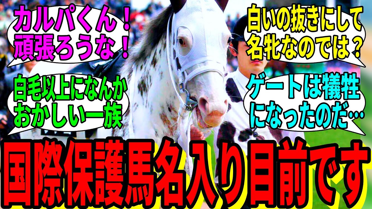 【競馬の反応集】「私またなんかやっちゃいました？」に対する視聴者の反応集