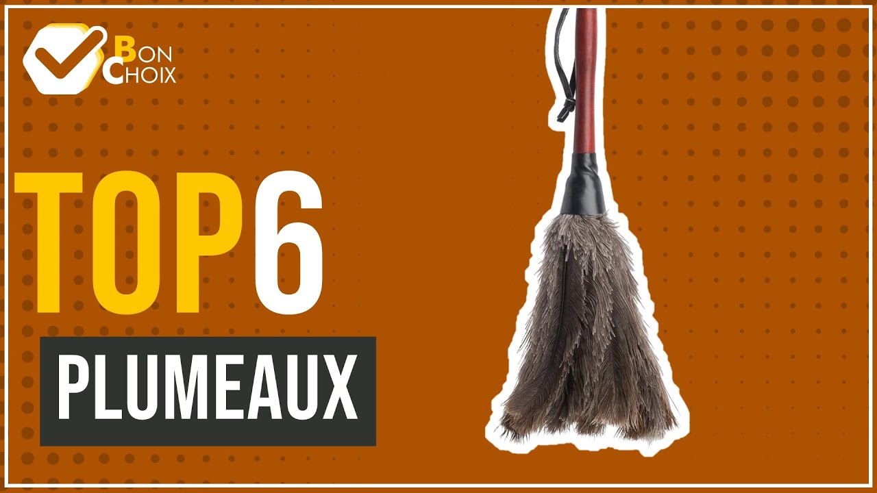 Plumeaux - Top 6 - (BonChoix)