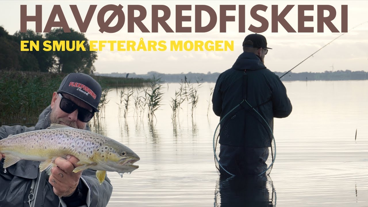 Havørredfiskeri  -  En smuk efterårs morgen