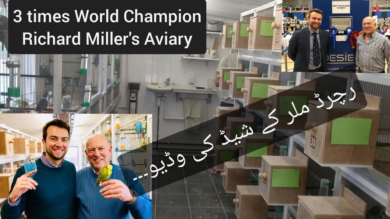 Richard Miller's Aviary Visit || 3 times World Champion