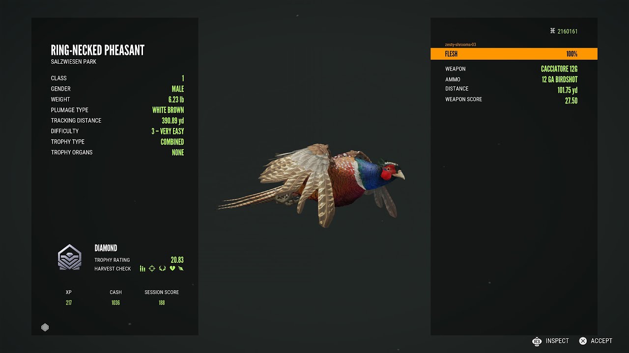 DIAMOND and RARE highlights #92 The Hunter: Call of the wild