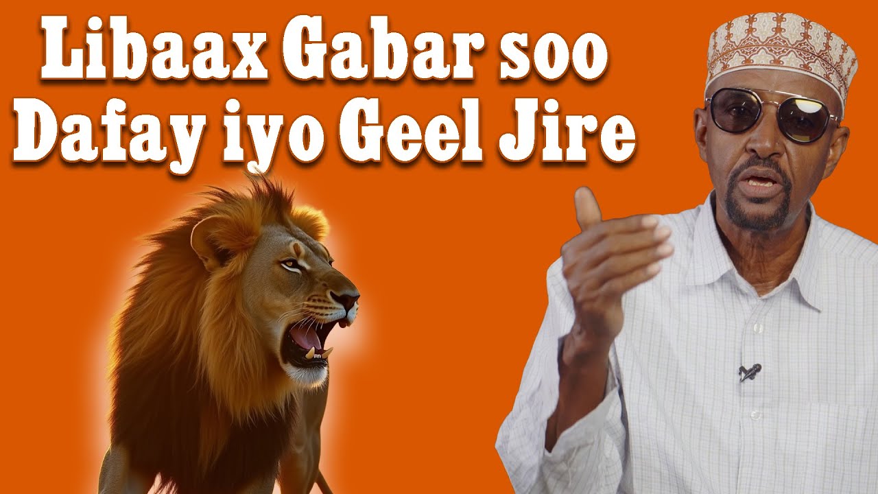 Libaax gabar dafay iyo geel jire maxaa kala qabsaday | Sheeko macallin Bashiir