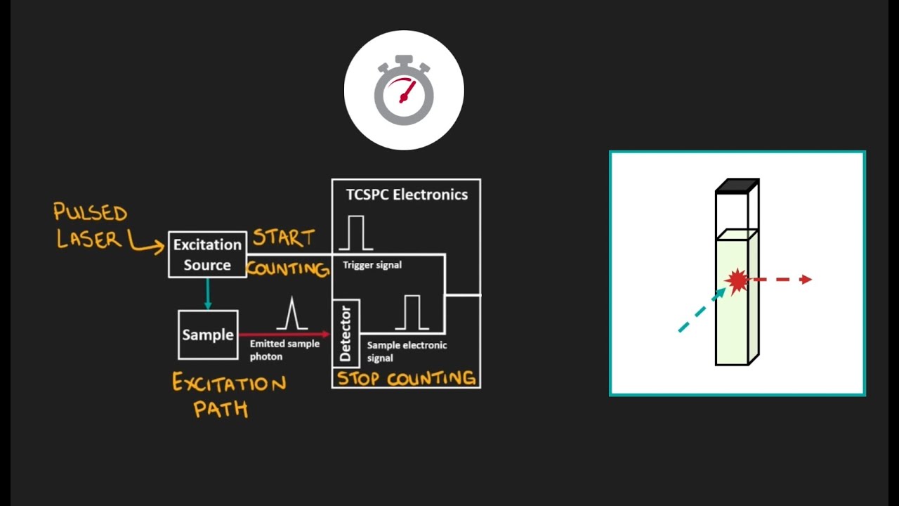 How to measure Fluorescence Lifetimes