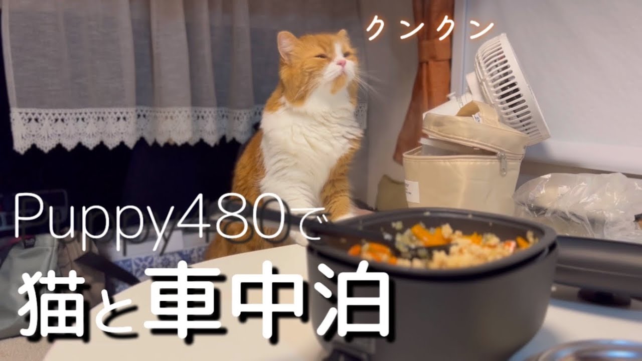 【キャンピングカー】Puppy480で道の駅で初車中飯を作りました／初車中泊旅#2