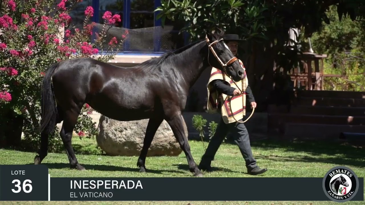 36 INESPERADA Criadero LOS TRES ARTUROS