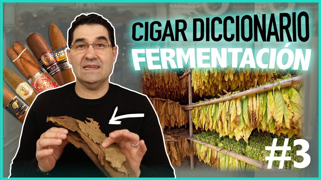 🤔 ¿QUÉ ES la FERMENTACIÓN de un PURO? | Cigar Diccionario de Cigar Specialist #003