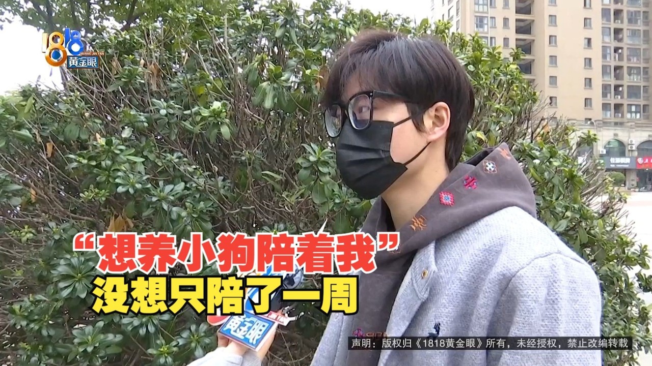 【1818黄金眼】给小狗买了电热毯，2000元买比熊只陪伴了1周
