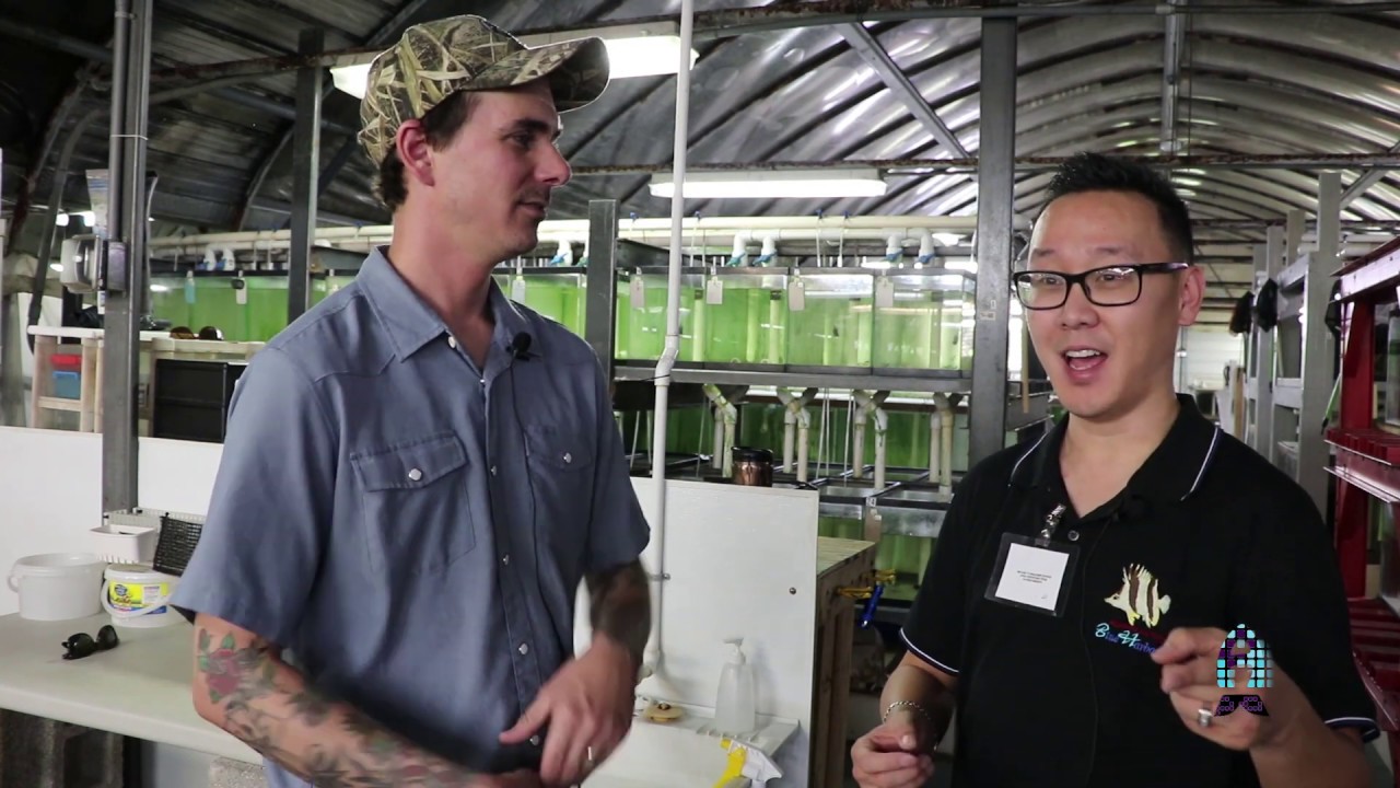 Behind the closed doors of ORA Farms: Part 2.