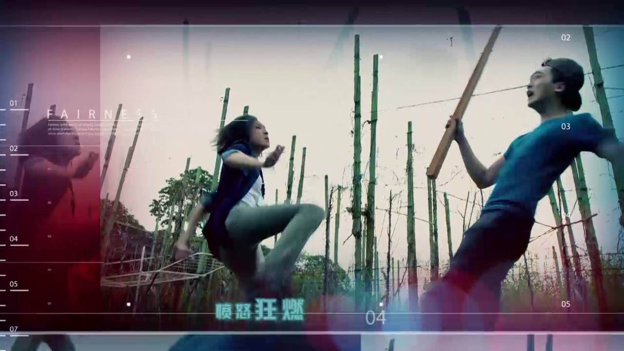 Singapore Police Force - C.L.I.F. 4 《警徽天职4 》Theme Song