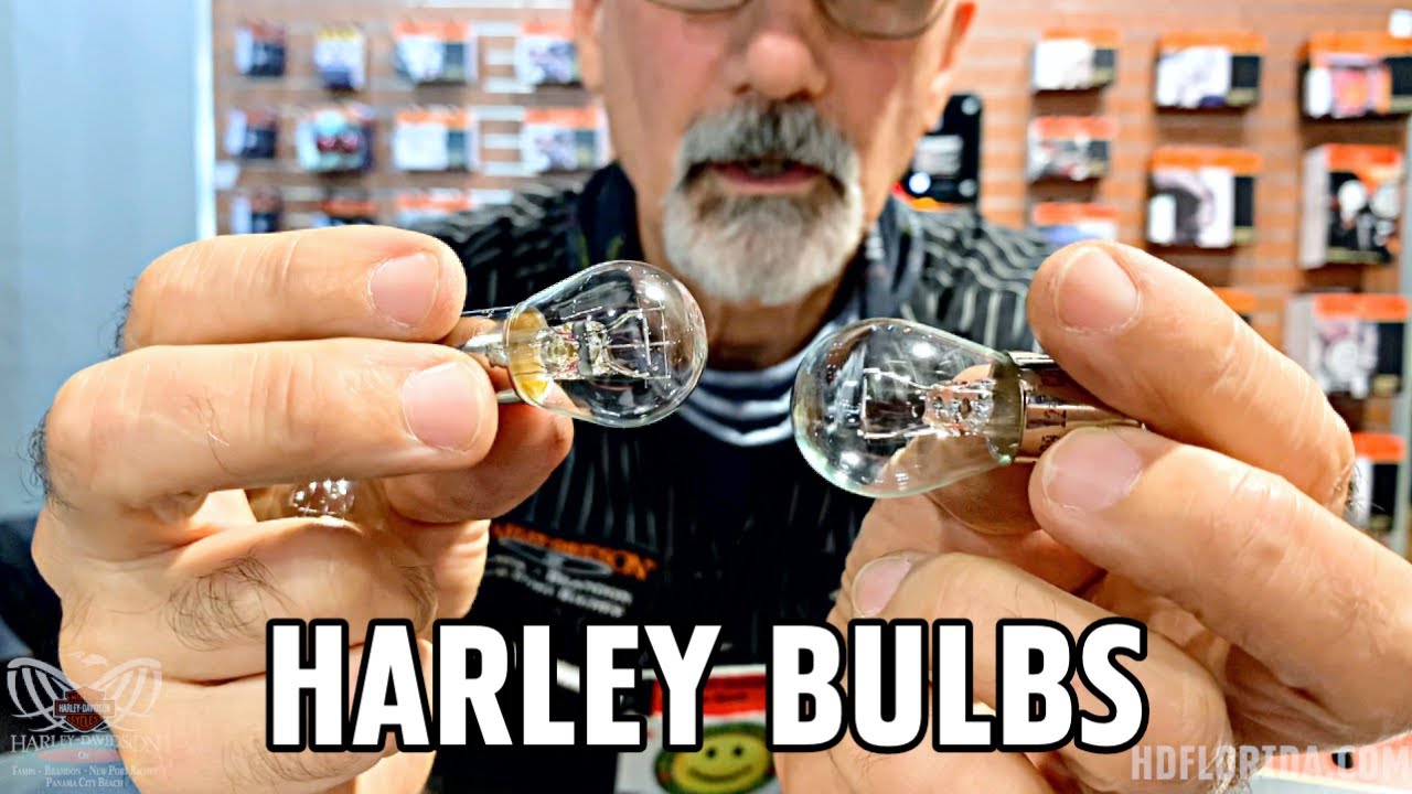 Parts PSA Ep.1: Harley Bulbs and Dielectric Grease